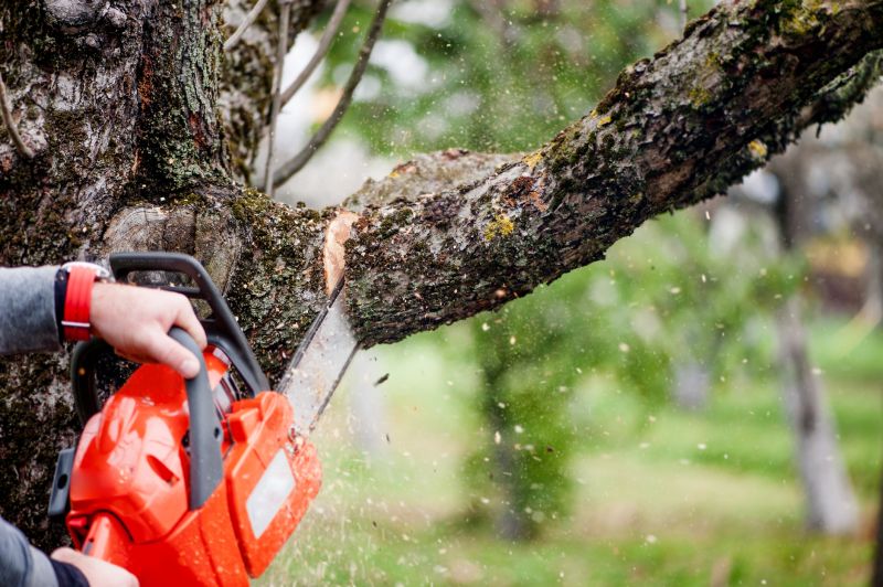 Tree Cutting and Removal