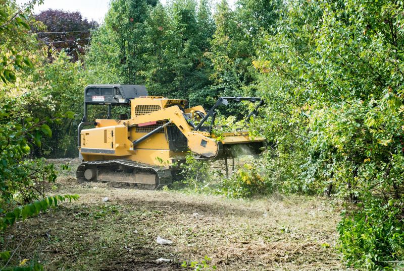 Brush Clearing Machinery
